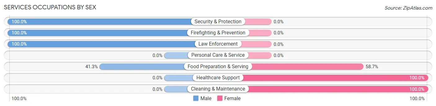 Services Occupations by Sex in Zip Code 17034