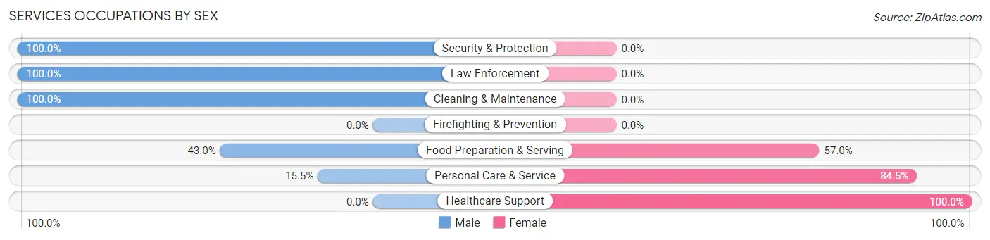 Services Occupations by Sex in Zip Code 17043