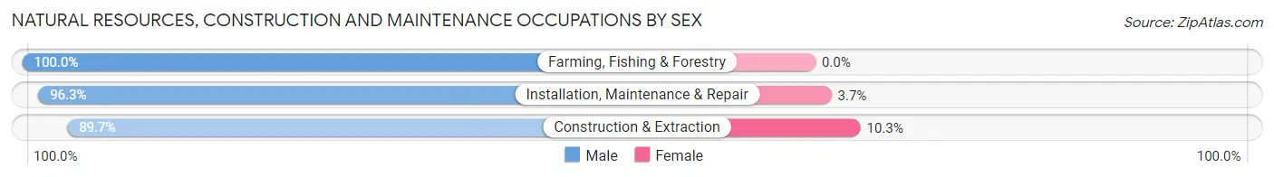 Natural Resources, Construction and Maintenance Occupations by Sex in Zip Code 17045