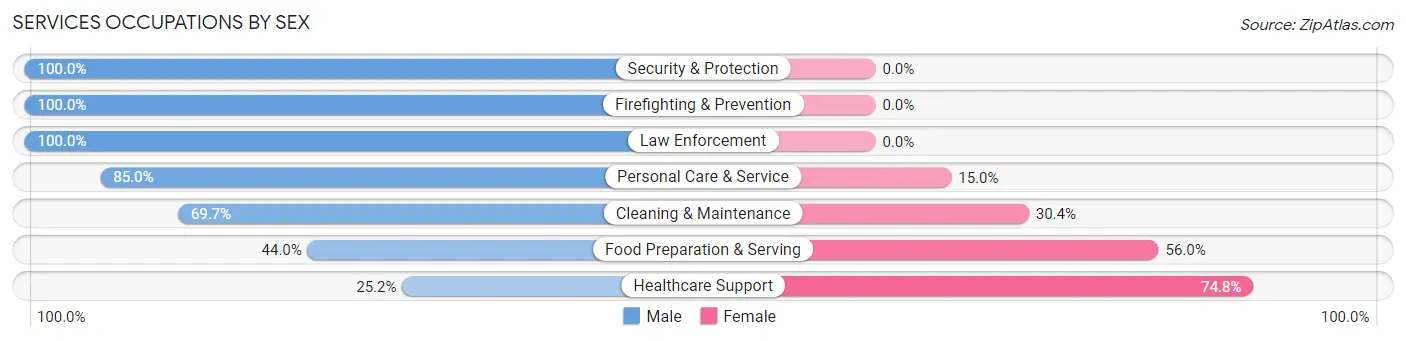 Services Occupations by Sex in Zip Code 17104