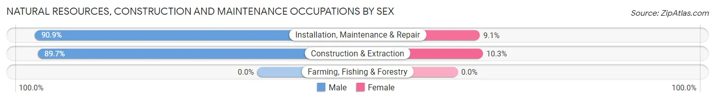 Natural Resources, Construction and Maintenance Occupations by Sex in Zip Code 17228