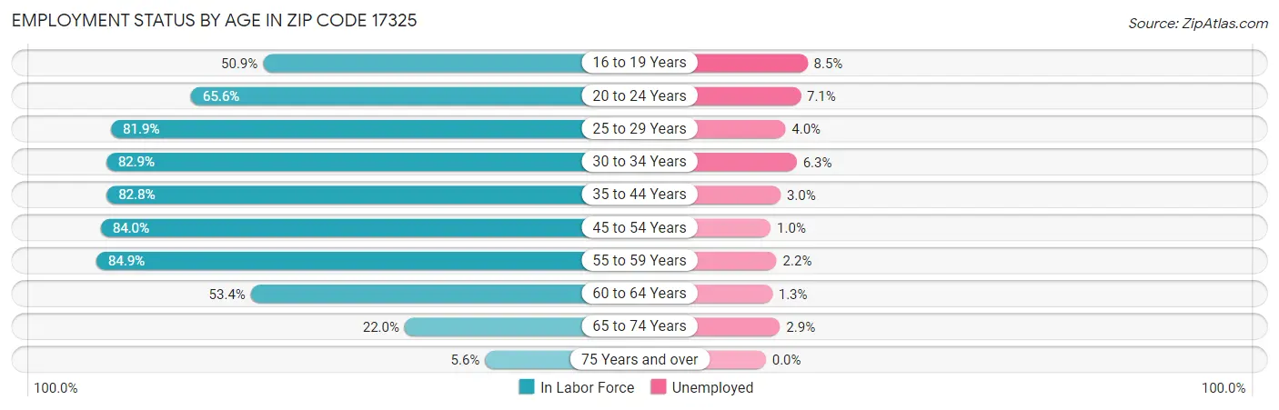 Employment Status by Age in Zip Code 17325