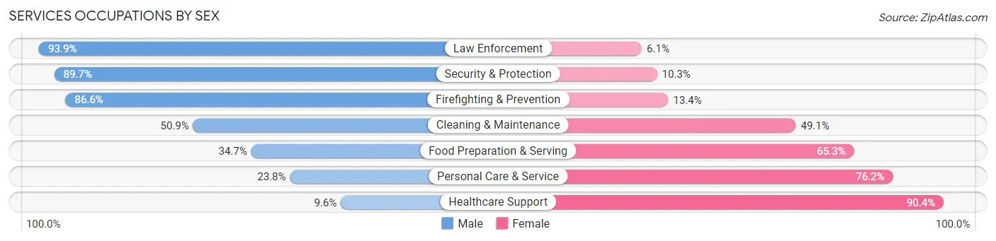 Services Occupations by Sex in Zip Code 17325