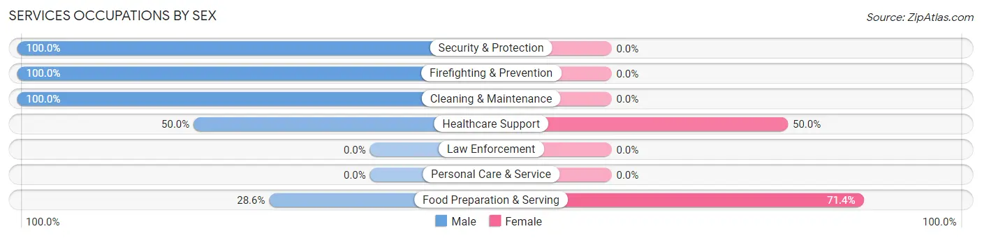 Services Occupations by Sex in Zip Code 17355
