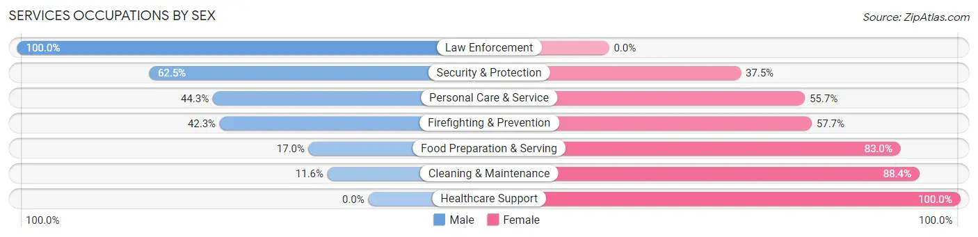 Services Occupations by Sex in Zip Code 17540