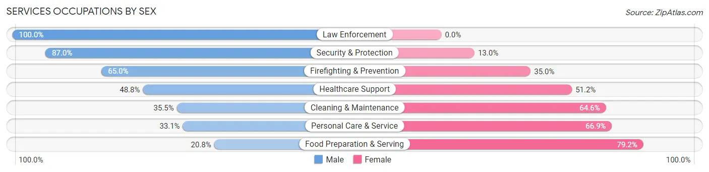 Services Occupations by Sex in Zip Code 17551