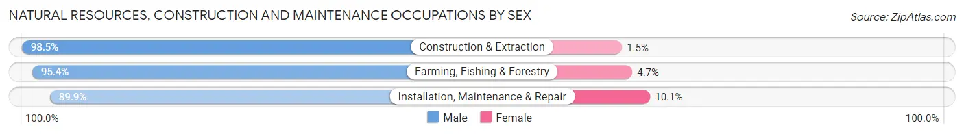 Natural Resources, Construction and Maintenance Occupations by Sex in Zip Code 17602