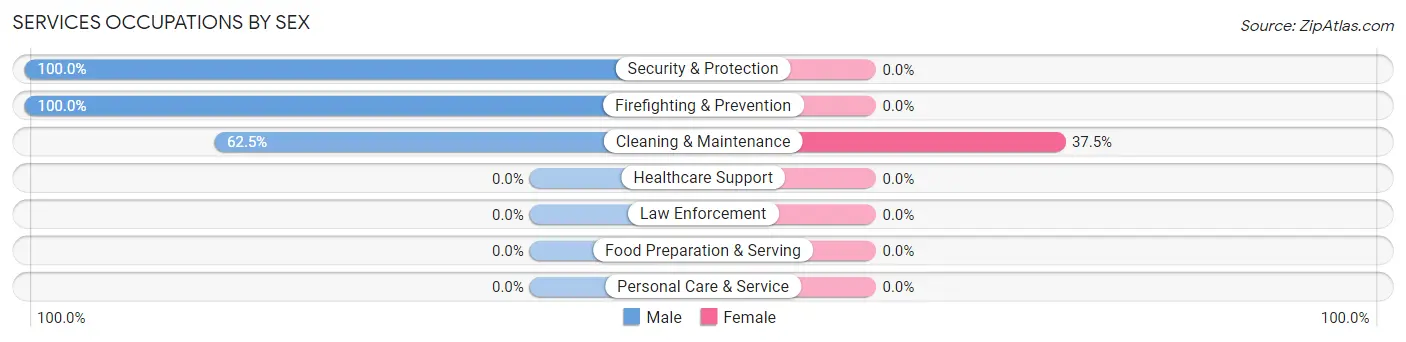 Services Occupations by Sex in Zip Code 17731