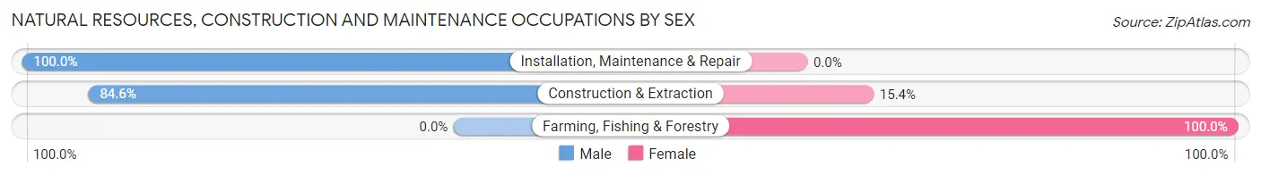 Natural Resources, Construction and Maintenance Occupations by Sex in Zip Code 17824