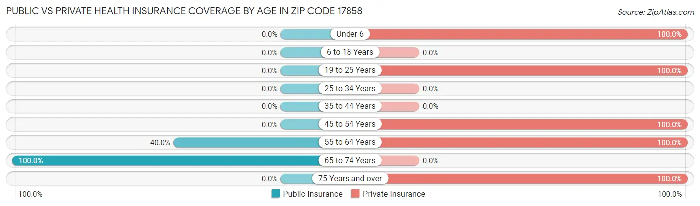 Public vs Private Health Insurance Coverage by Age in Zip Code 17858