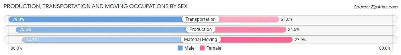 Production, Transportation and Moving Occupations by Sex in Zip Code 17980