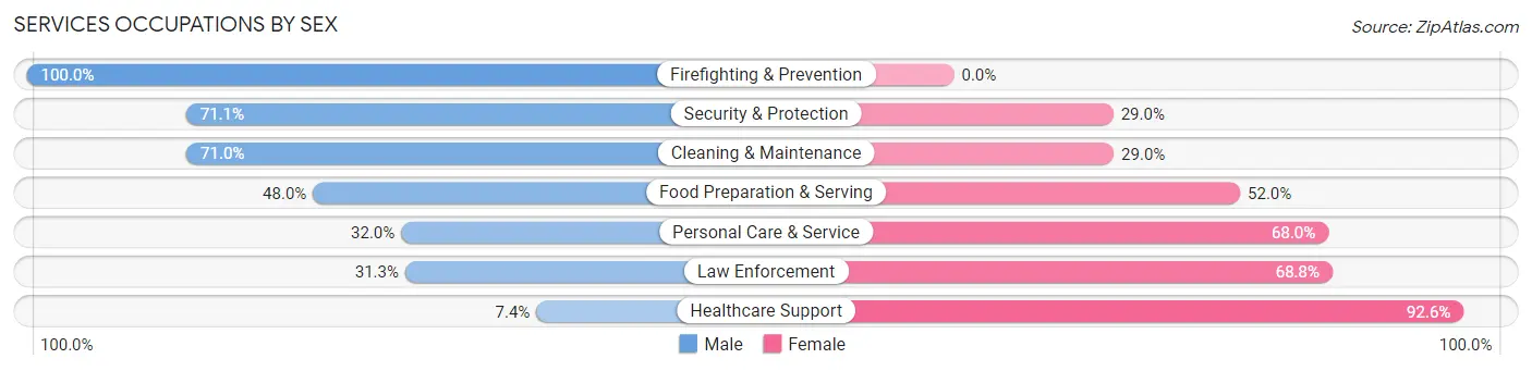 Services Occupations by Sex in Zip Code 18032