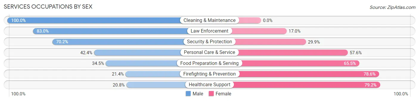 Services Occupations by Sex in Zip Code 18034