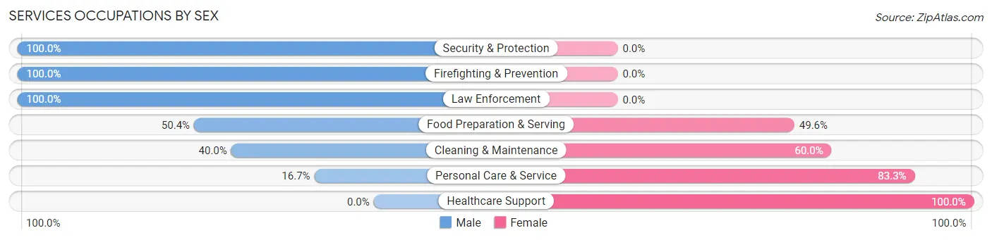 Services Occupations by Sex in Zip Code 18037