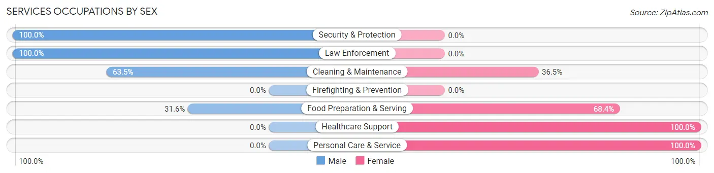 Services Occupations by Sex in Zip Code 18053