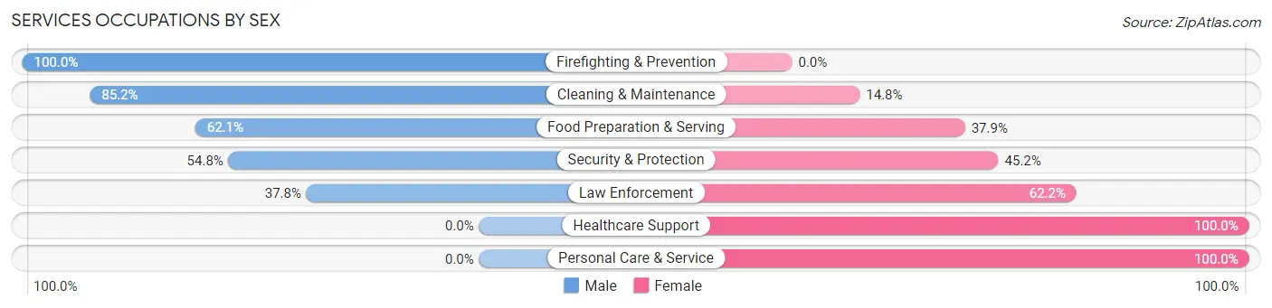 Services Occupations by Sex in Zip Code 18058