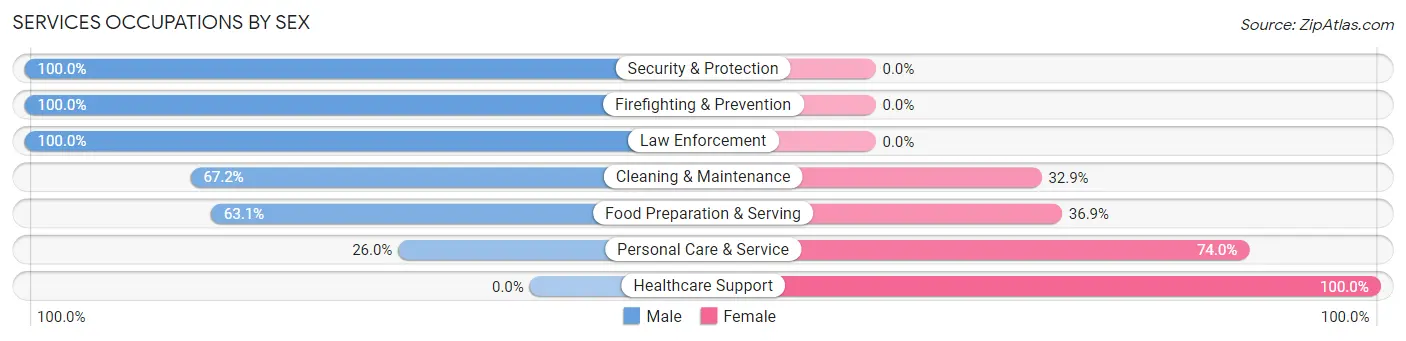 Services Occupations by Sex in Zip Code 18064