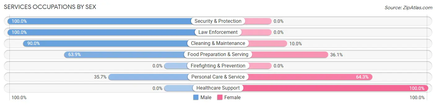 Services Occupations by Sex in Zip Code 18078