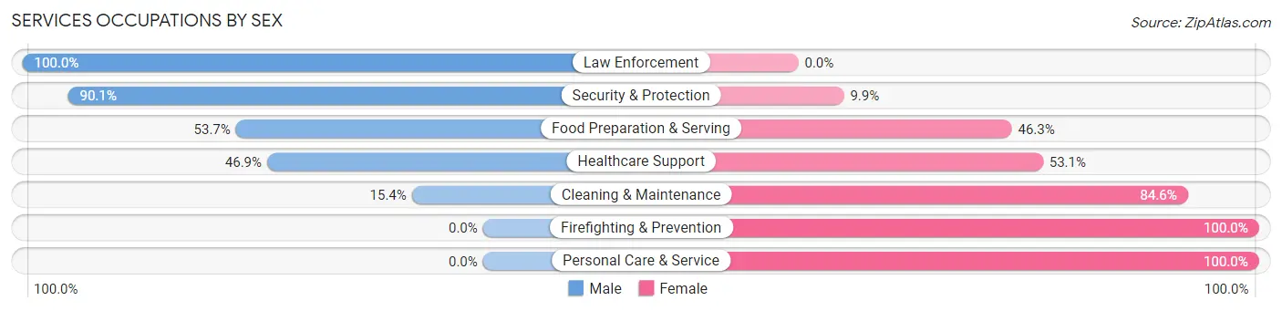 Services Occupations by Sex in Zip Code 18101