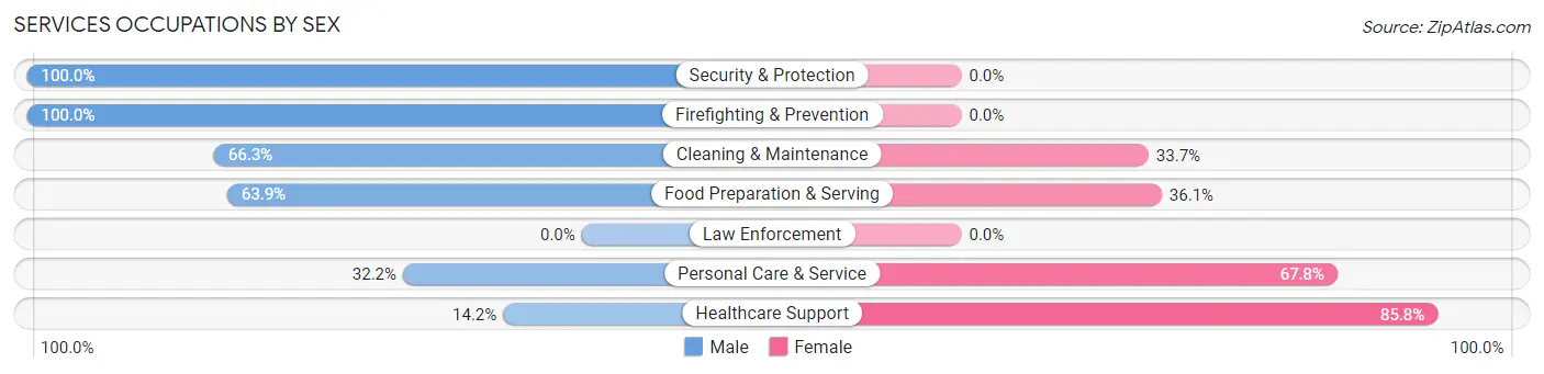 Services Occupations by Sex in Zip Code 18109