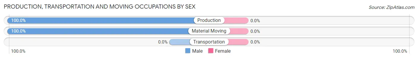 Production, Transportation and Moving Occupations by Sex in Zip Code 18221