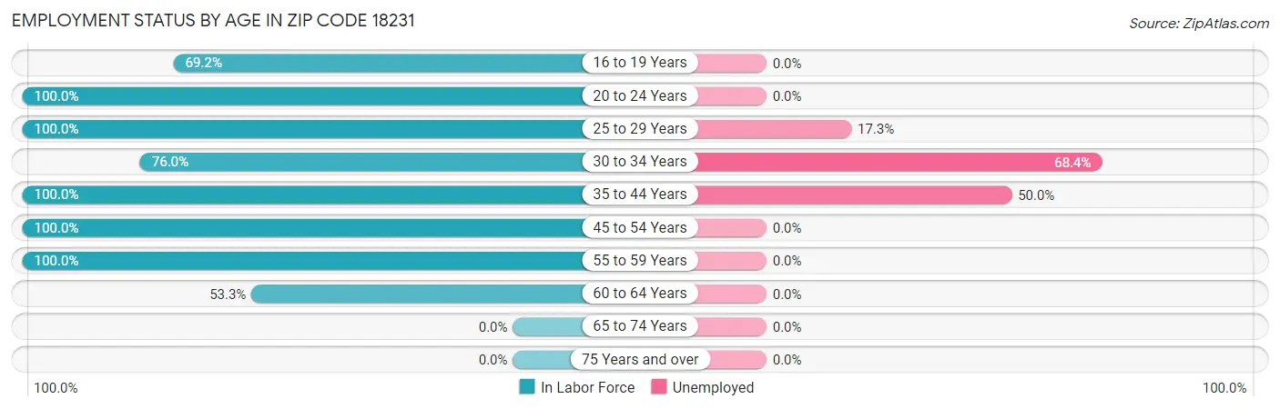 Employment Status by Age in Zip Code 18231