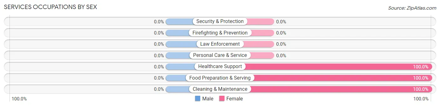 Services Occupations by Sex in Zip Code 18469