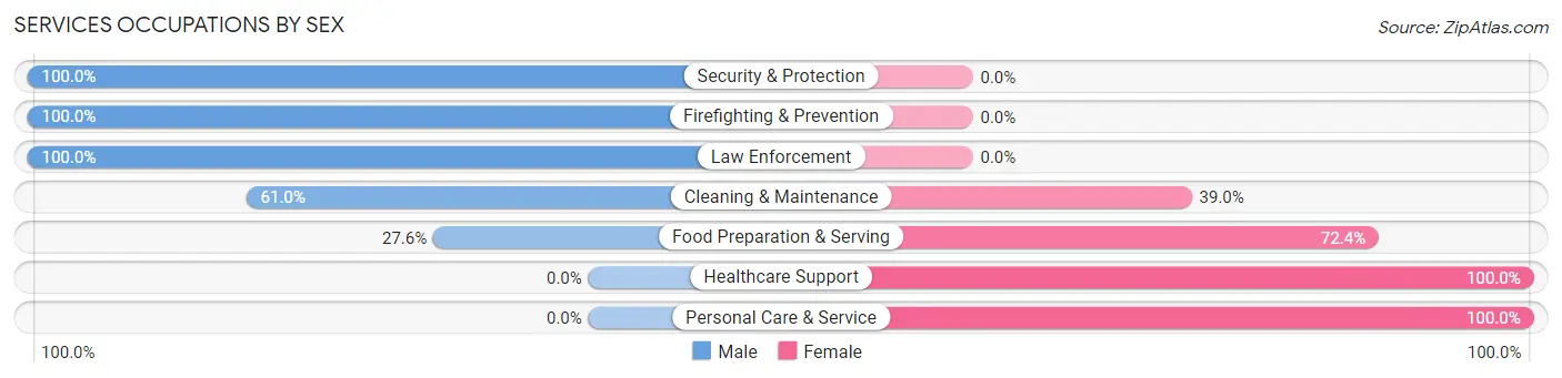 Services Occupations by Sex in Zip Code 18470
