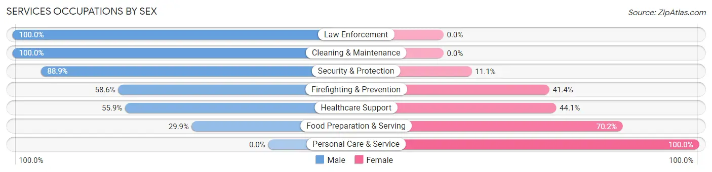 Services Occupations by Sex in Zip Code 18507