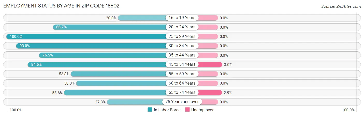 Employment Status by Age in Zip Code 18602