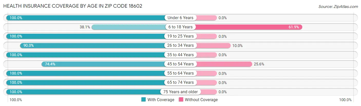 Health Insurance Coverage by Age in Zip Code 18602