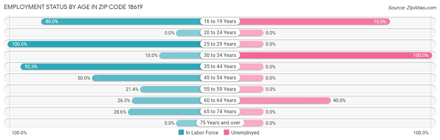 Employment Status by Age in Zip Code 18619