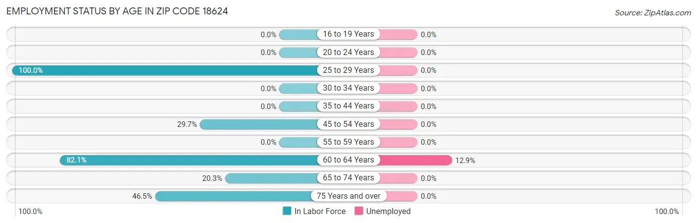 Employment Status by Age in Zip Code 18624