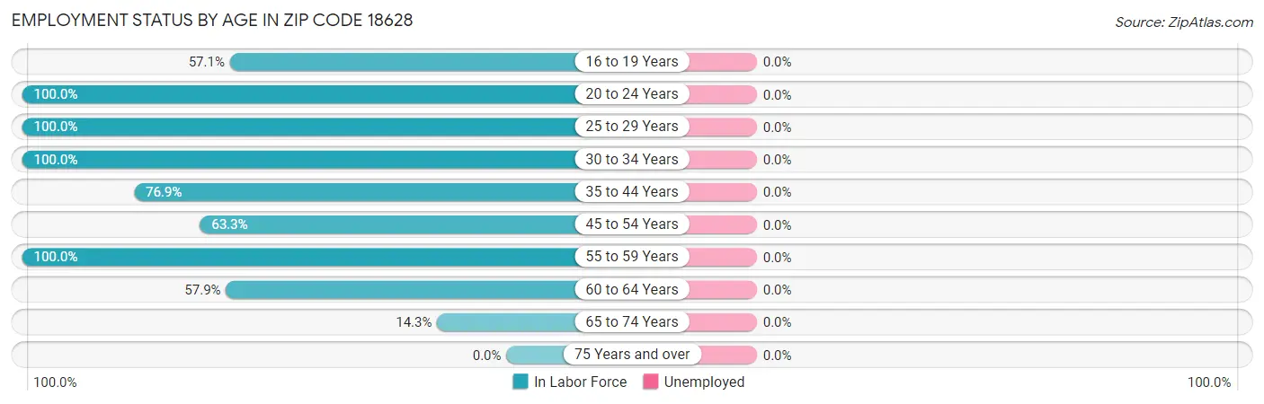Employment Status by Age in Zip Code 18628