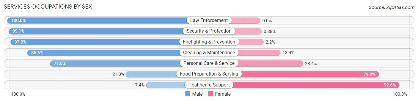 Services Occupations by Sex in Zip Code 18641