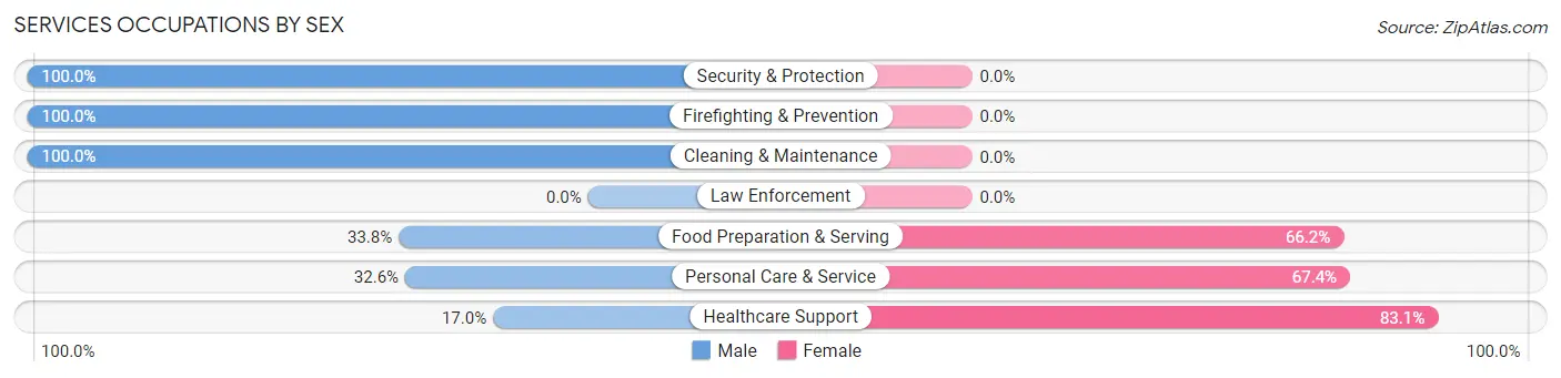 Services Occupations by Sex in Zip Code 18701