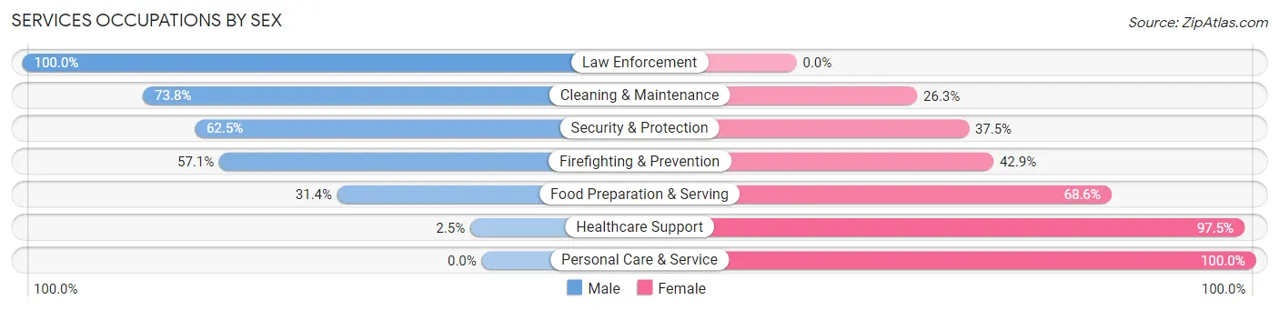 Services Occupations by Sex in Zip Code 18837