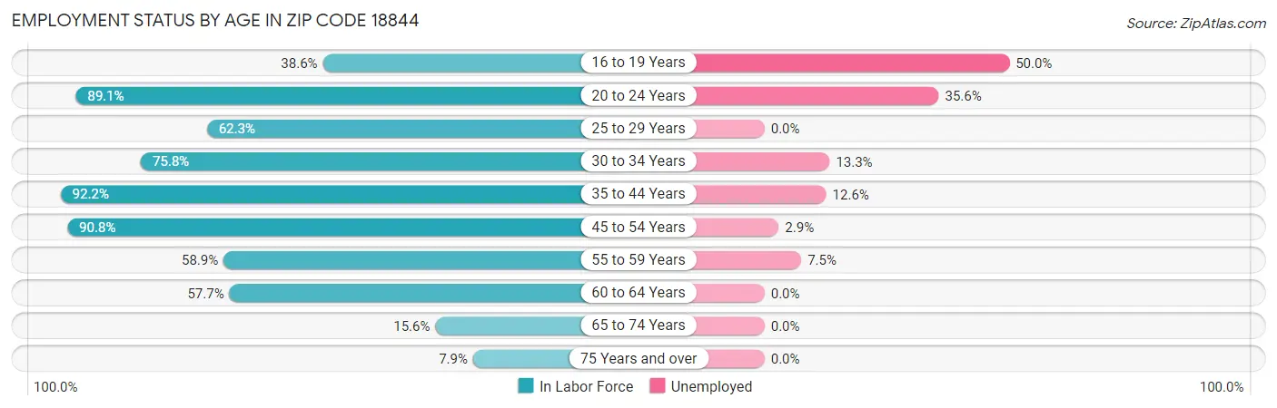 Employment Status by Age in Zip Code 18844