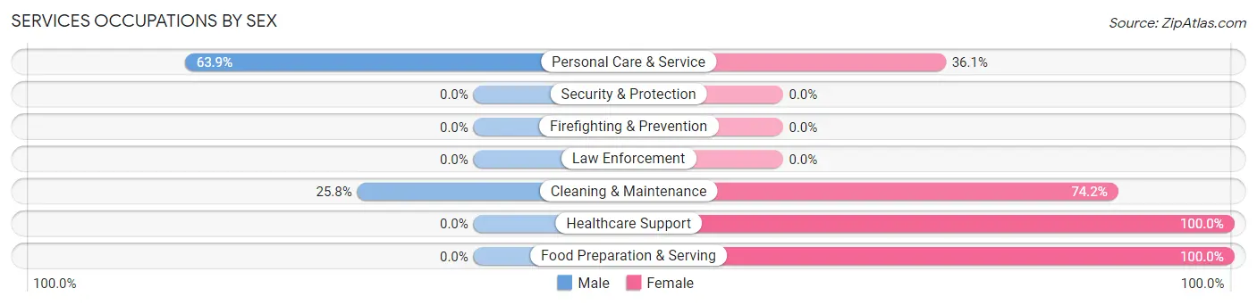 Services Occupations by Sex in Zip Code 18930
