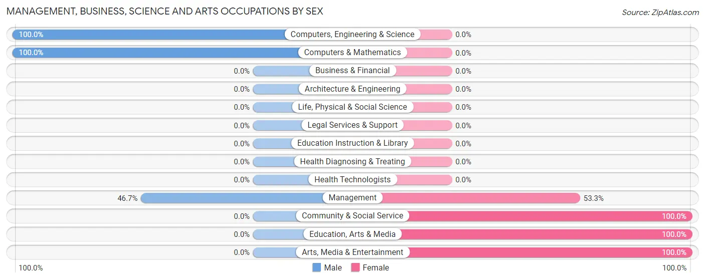 Management, Business, Science and Arts Occupations by Sex in Zip Code 18933