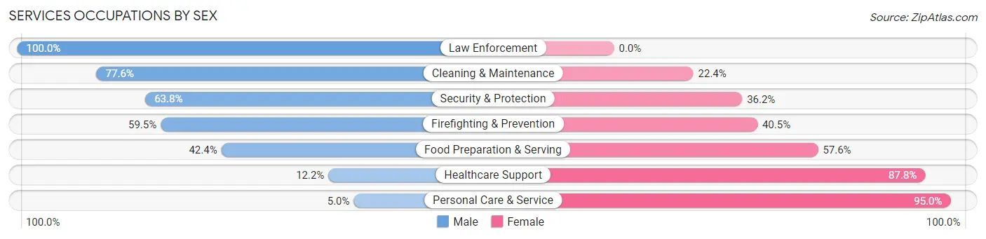 Services Occupations by Sex in Zip Code 18960