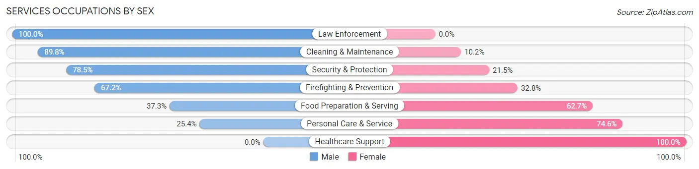 Services Occupations by Sex in Zip Code 19003