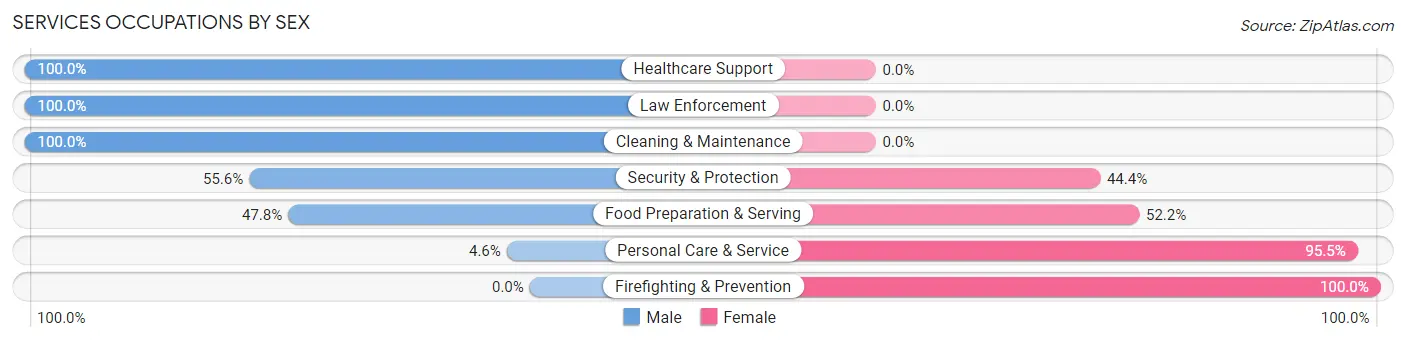 Services Occupations by Sex in Zip Code 19009