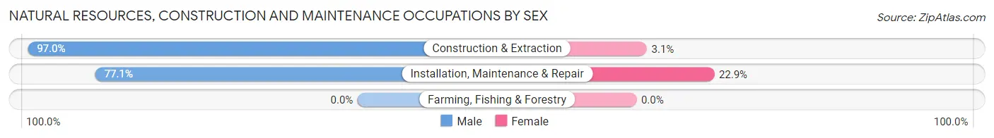 Natural Resources, Construction and Maintenance Occupations by Sex in Zip Code 19013