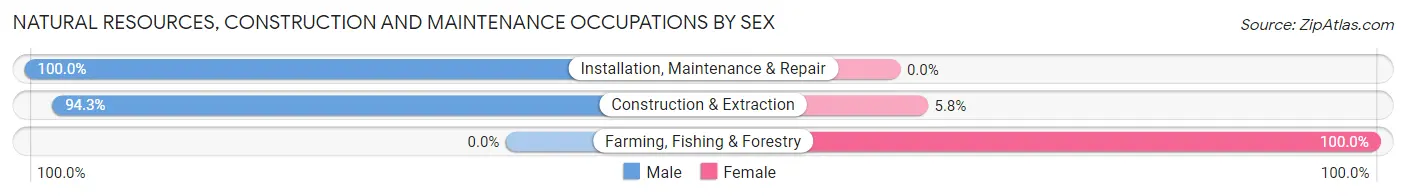 Natural Resources, Construction and Maintenance Occupations by Sex in Zip Code 19015