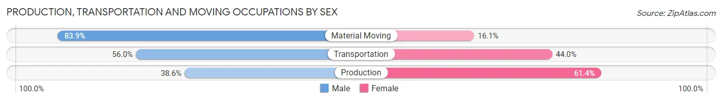 Production, Transportation and Moving Occupations by Sex in Zip Code 19025