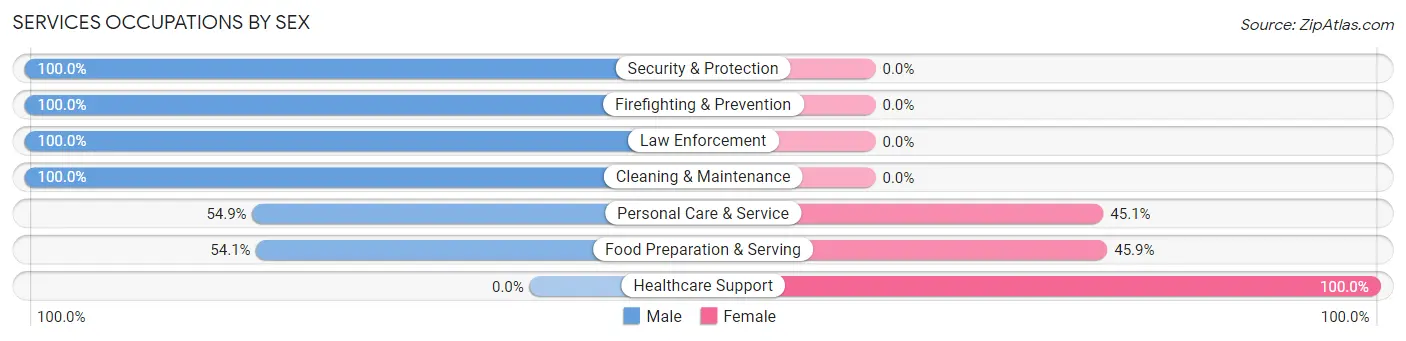 Services Occupations by Sex in Zip Code 19025