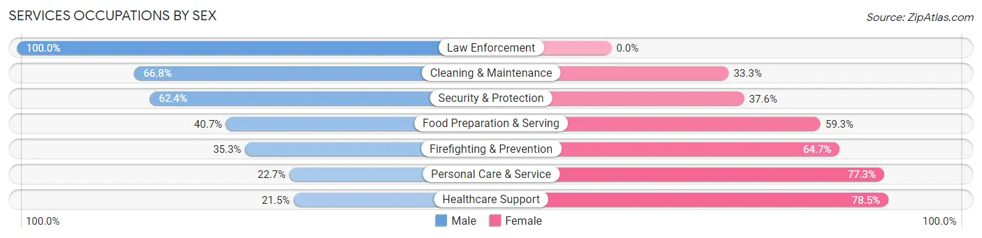Services Occupations by Sex in Zip Code 19038