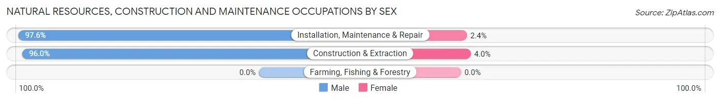 Natural Resources, Construction and Maintenance Occupations by Sex in Zip Code 19053