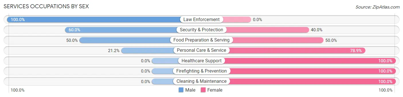 Services Occupations by Sex in Zip Code 19066